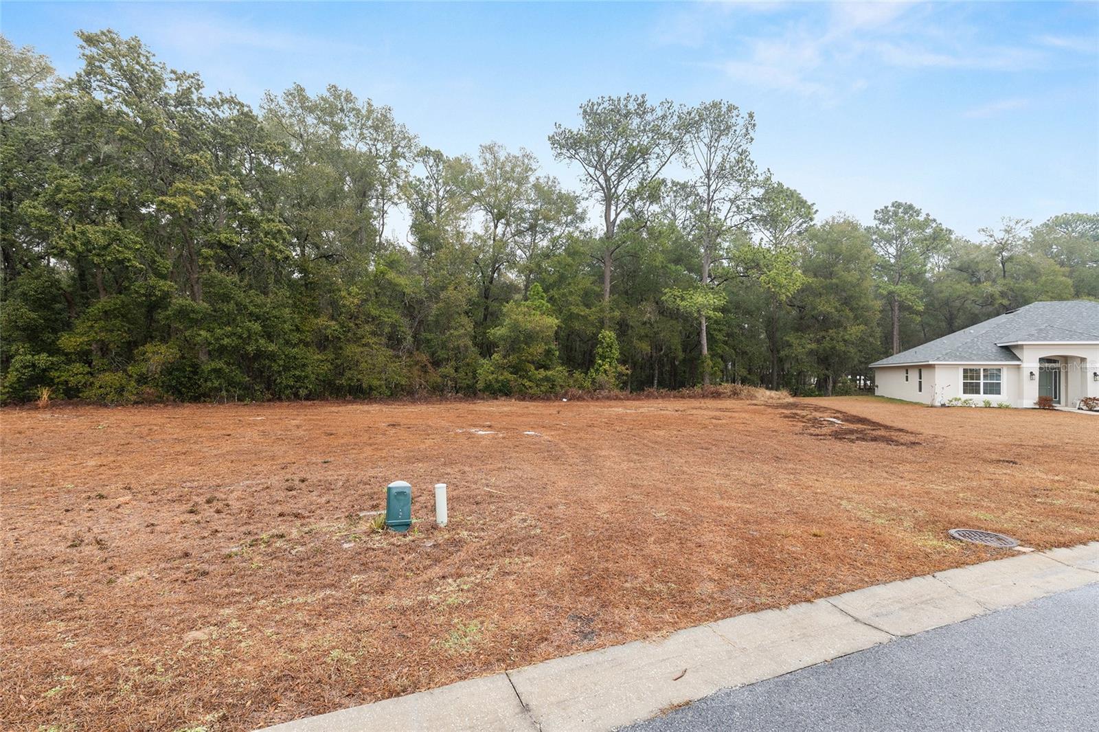 SILVER RUN FOREST - Land