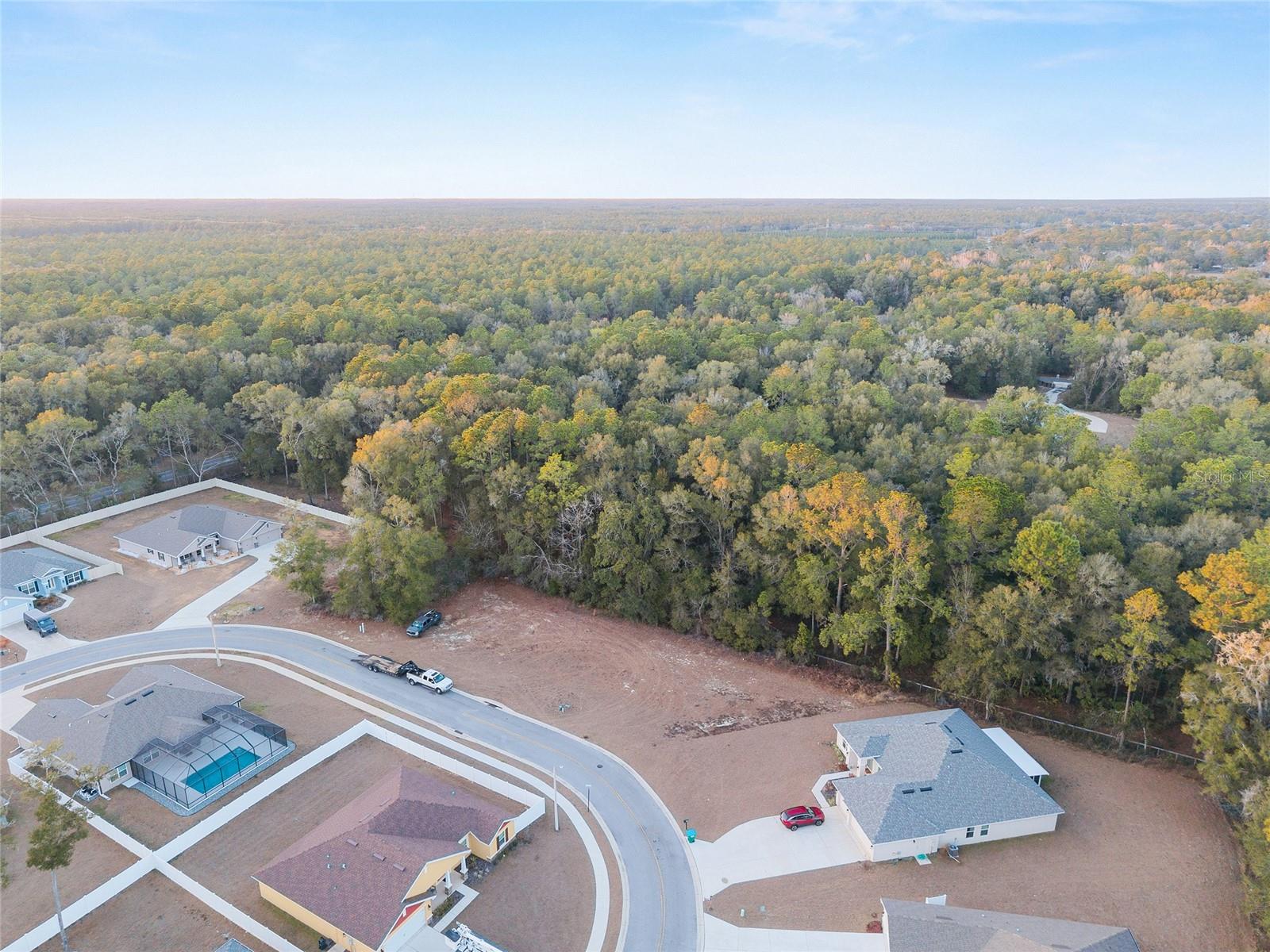 SILVER RUN FOREST - Land