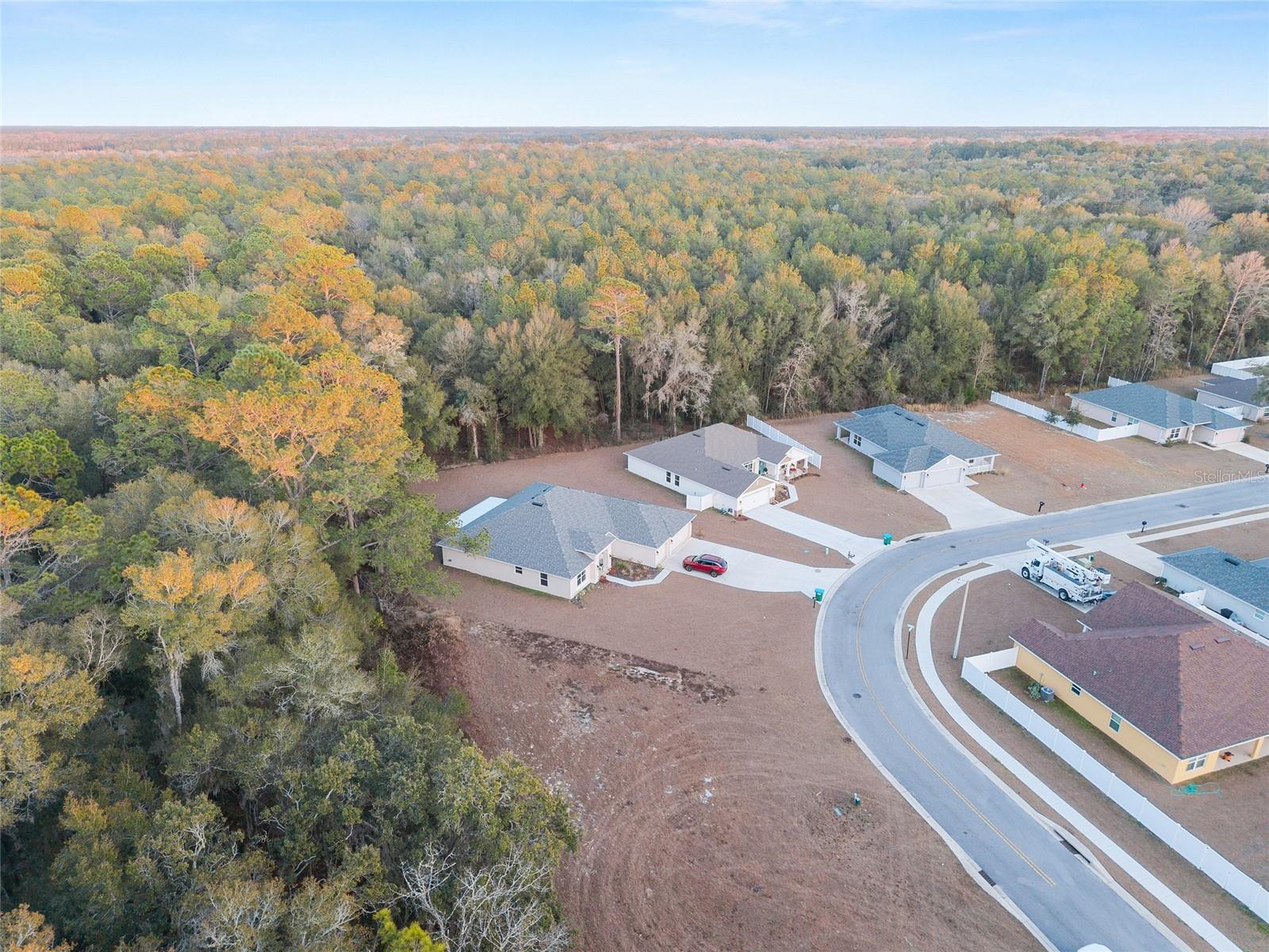 SILVER RUN FOREST - Land