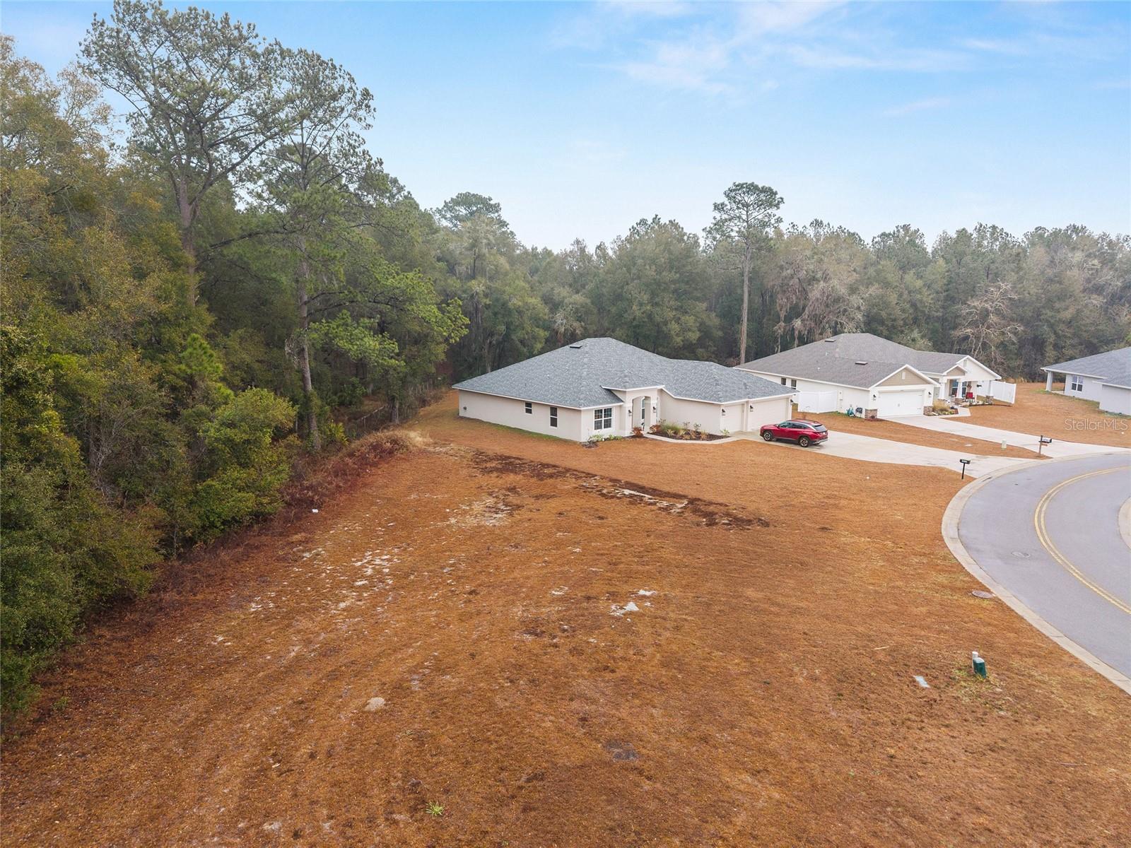 SILVER RUN FOREST - Land