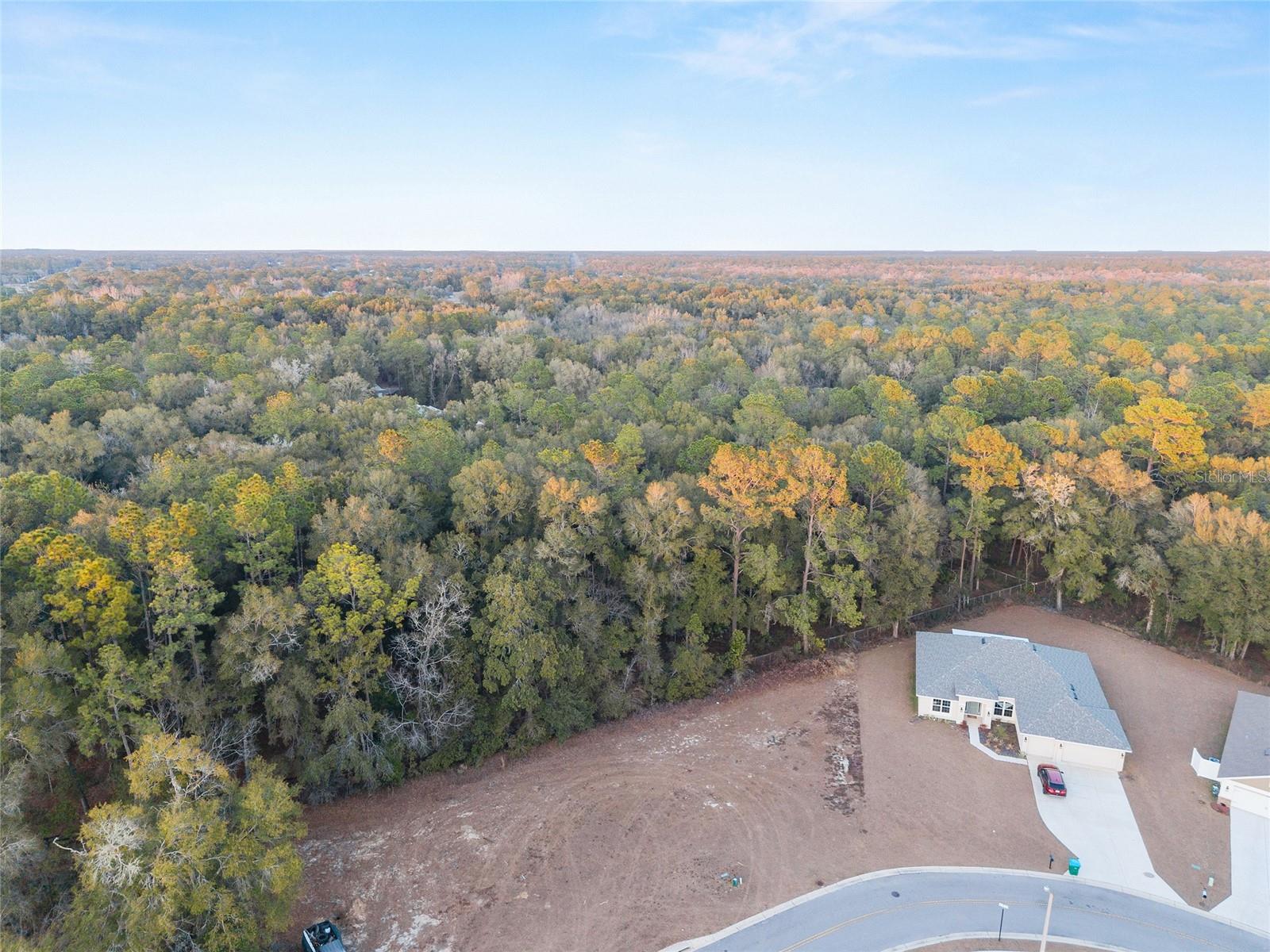 SILVER RUN FOREST - Land