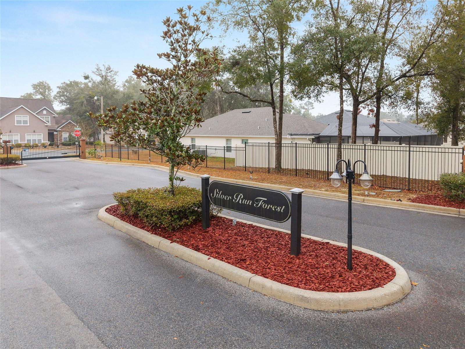 SILVER RUN FOREST - Land