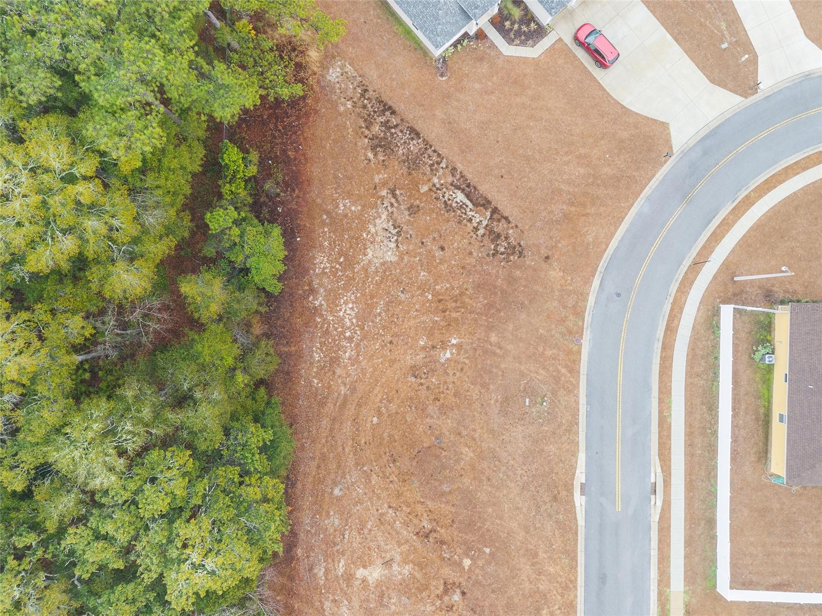 SILVER RUN FOREST - Land