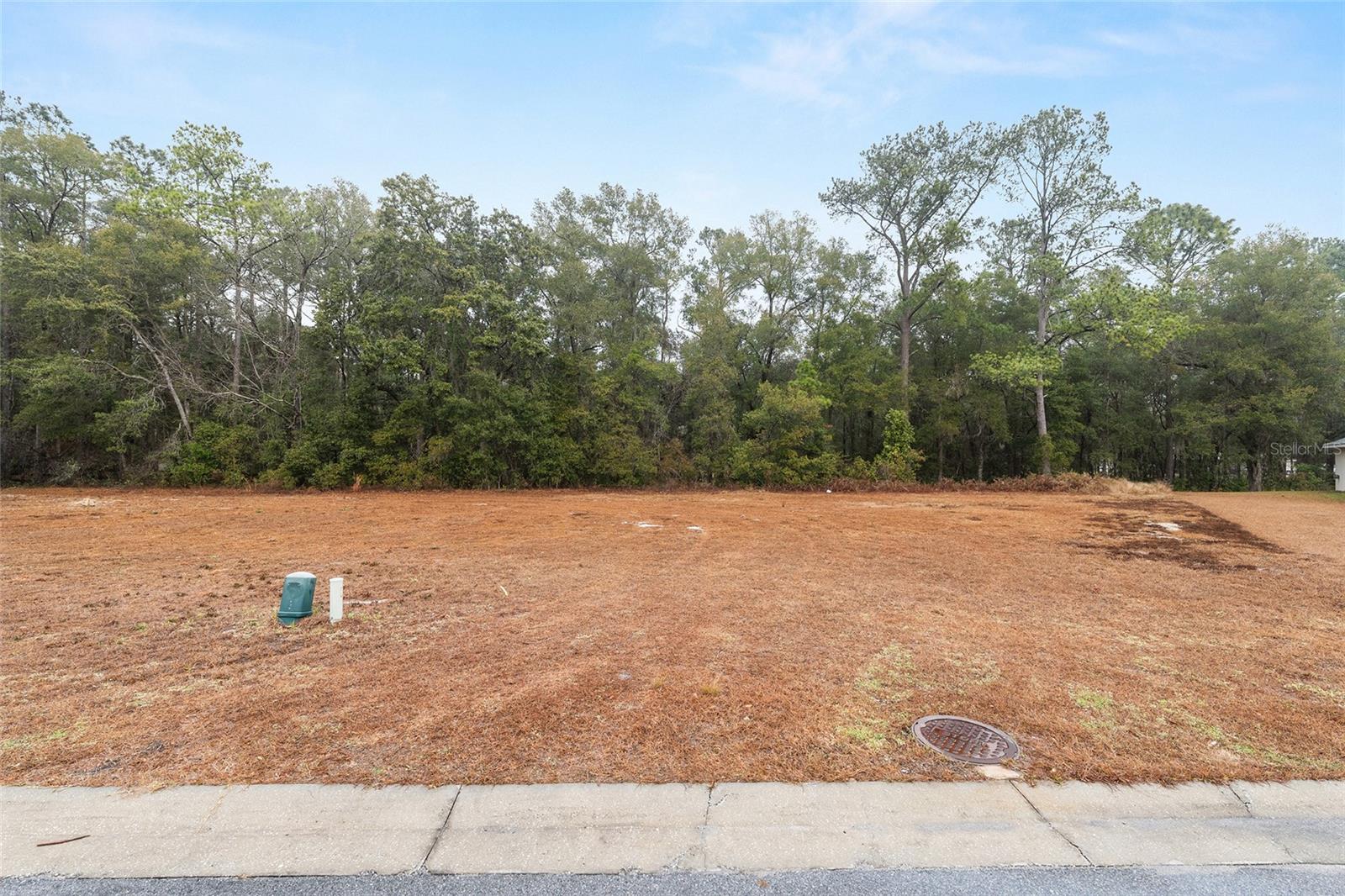 SILVER RUN FOREST - Land