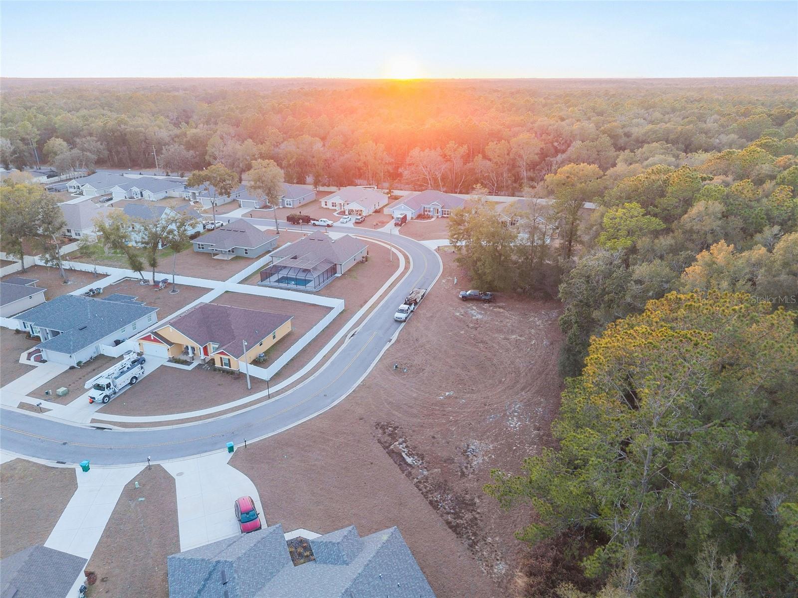 SILVER RUN FOREST - Land