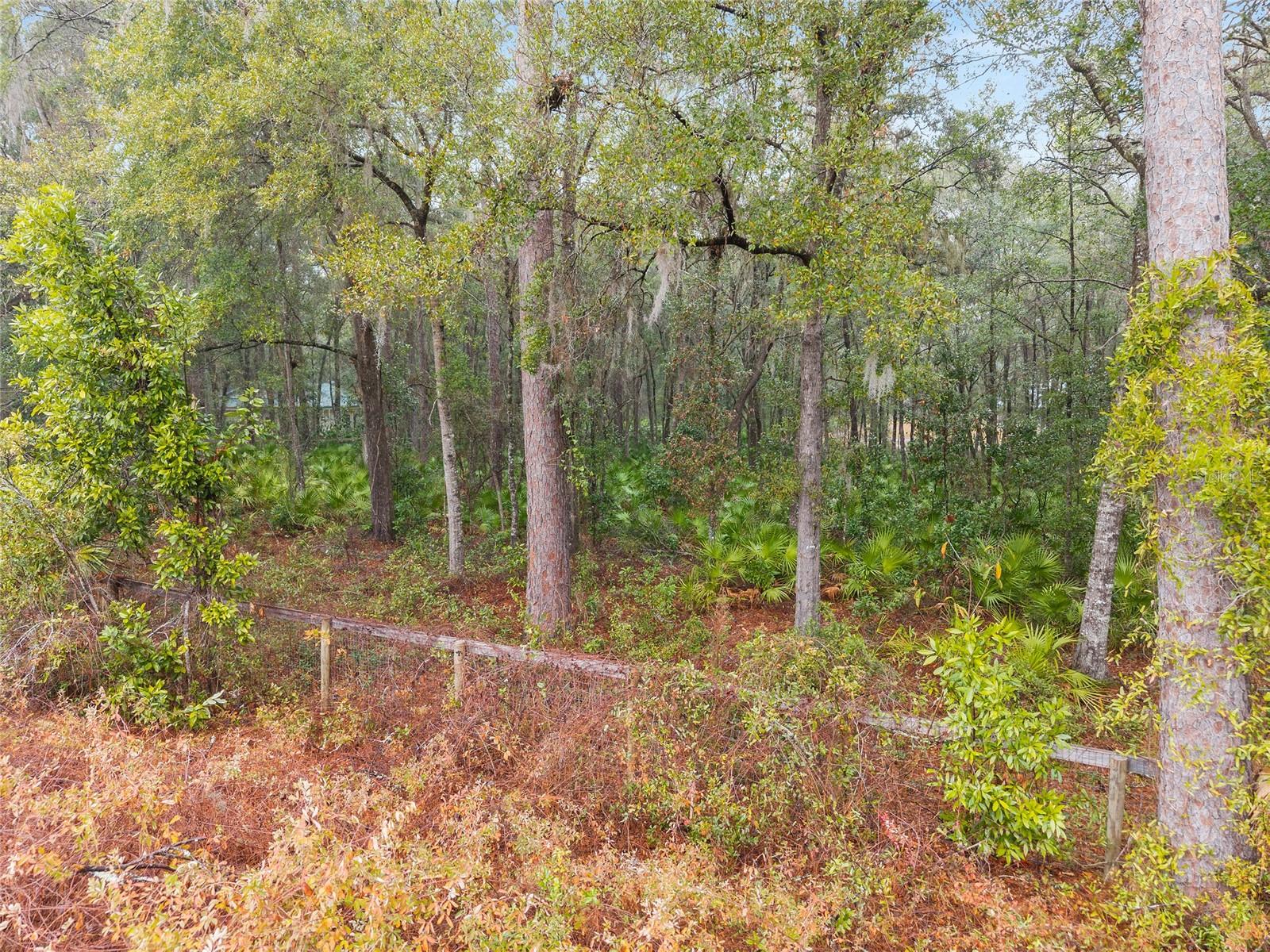 SILVER RUN FOREST - Land