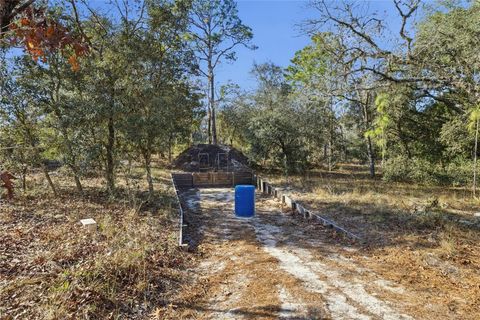 Tiny photo for 5693 W Woodlawn Street, Dunnellon, FL 34433 (MLS # OM715559)