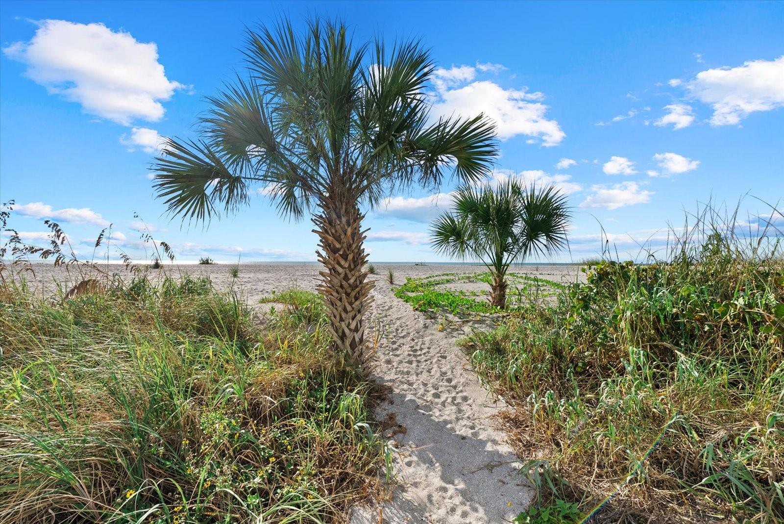 THE ORLEANS - Residential