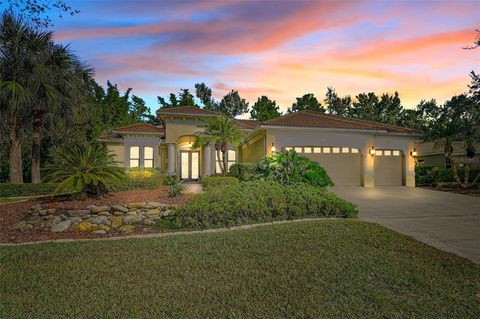 Photo of 11420 Savannah Lakes Drive, Parrish, FL 34219 (MLS # A4665393)