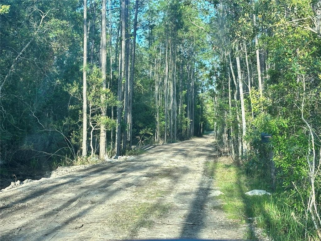 Photo of 3789 Pine Pitch Court, Ormond Beach, FL 32174 (MLS # V4941407)