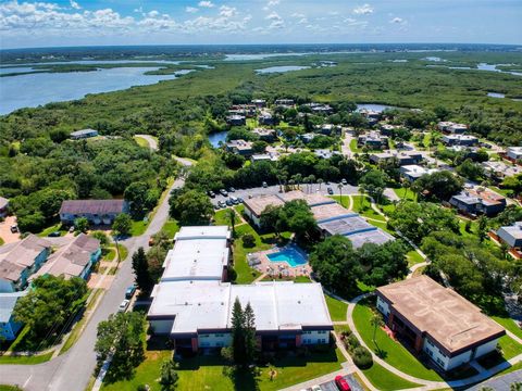 3800 SAXON DRIVE 250 NEW SMYRNA BEACH FL 32169