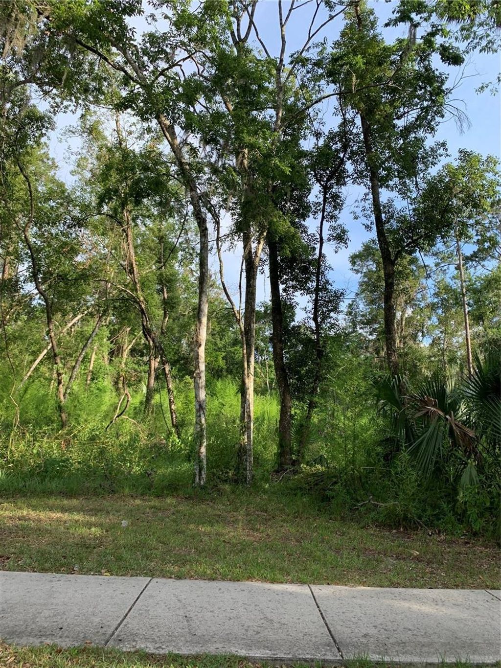 Photo of 625 W Dr M L King Jr Boulevard, Brooksville, FL 34601 (MLS # TB8392082)