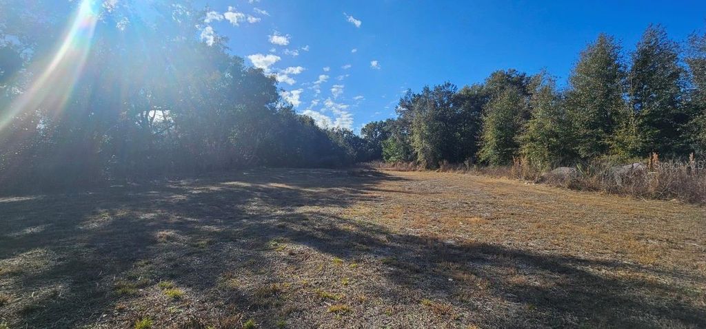 Photo of E Cleveland Street, Apopka, FL 32703 (MLS # O6396972)