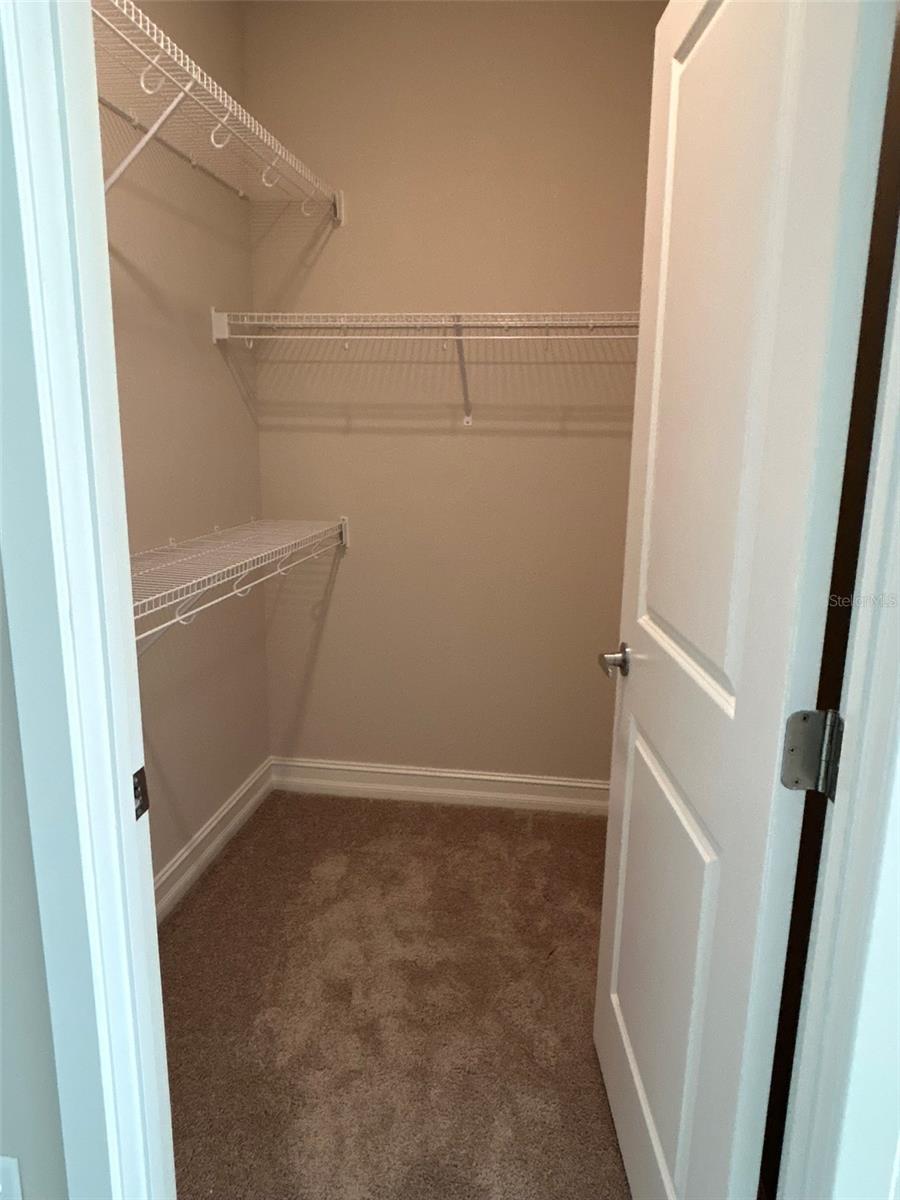 TAVARES ST CLAIR ABRAMS EXT - Residential Lease