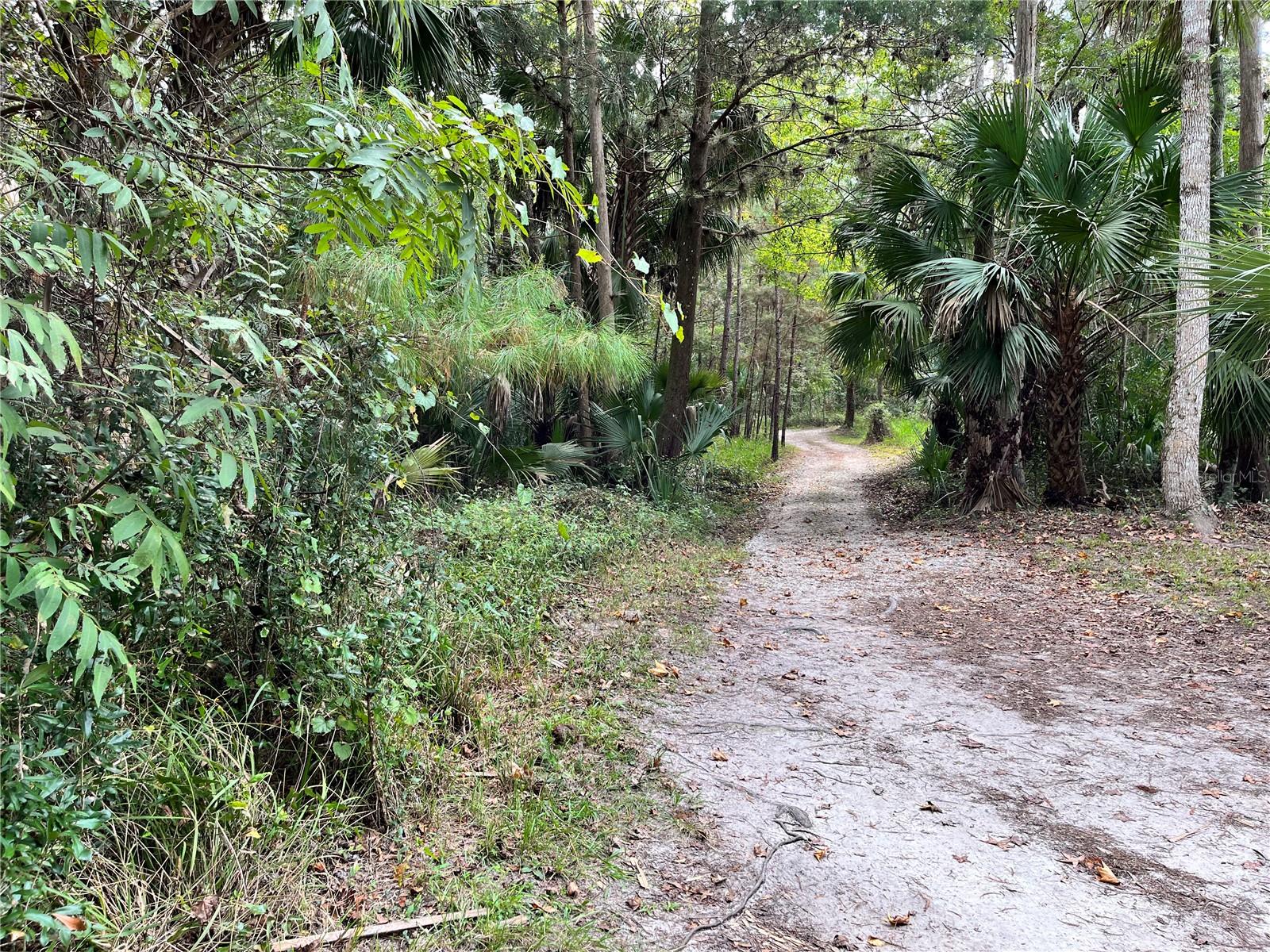 TOWN PARK AT THE WILDERNESS RV PARK ESTATES - Land