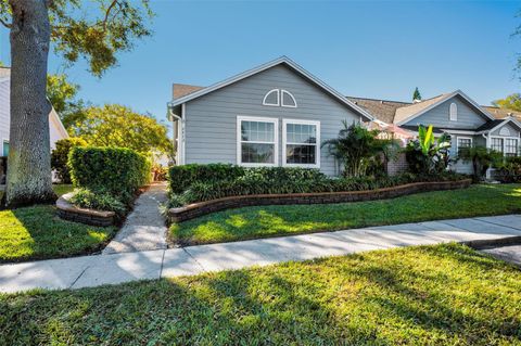 A home in PALM HARBOR