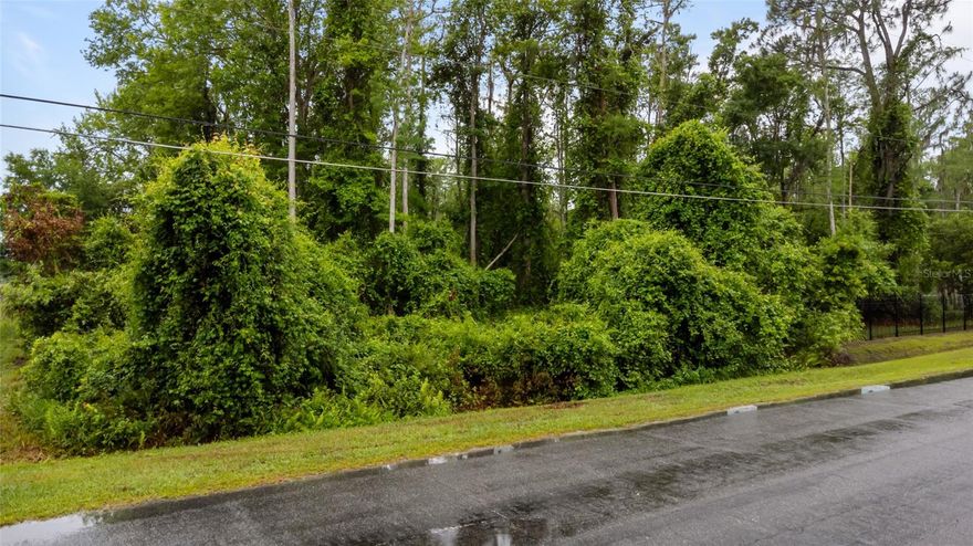 Discover this fantastic 2.01-acre property in the sought after Wedgefield Estates Community. This vacant lot offers the opportunity to build your custom home and enjoy the privacy in one of Central Florida's most sought-after neighborhoods. This property is high and dry making it a fantastic feature that sets this property apart from others.  The lot showcases picturesque views of a tranquil canal and is adorned with majestic native pines, creating a stunning backdrop for your future home. The nearby Hal Scott Preserve provides additional recreational options for nature lovers.  Wedgefield's reputation as a premier golf and equestrian community speaks to its distinctive charm.  Centrally located with convenient access to the beautiful beaches of the East Coast and downtown Orlando.  Don't miss this opportunity to create your dream home in a community that truly offers the best of Florida living.