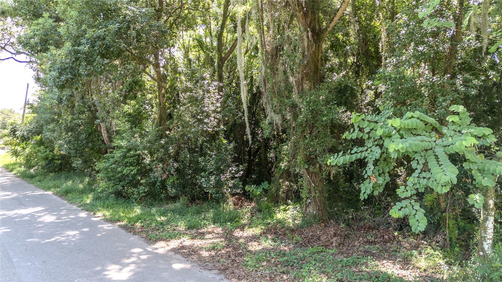 This property features dual zoning, allowing for both R-1 Residential and/or C-2 Commercial uses in Lake County. Situated just off Hwy 441, it lies on a street that hosts a blend of single-family homes and commercial buildings. Its convenient location is near UF Health Leesburg Hospital, downtown Leesburg, Ski Beach, and Beacon College. Additionally, there is potential for annexation into the City of Leesburg.