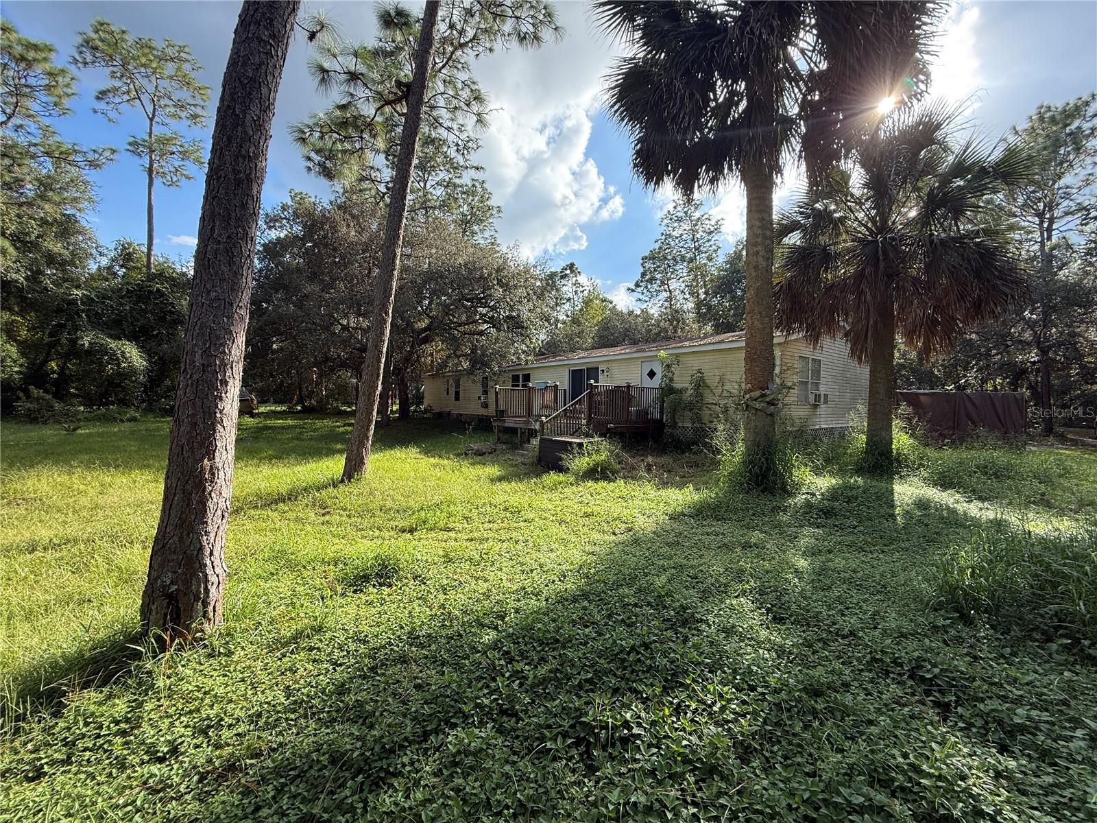 38510 COUNTY ROAD 439