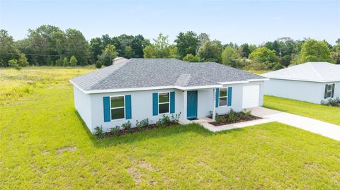 Photo of 238 Locust Pass Circle, Ocala, FL 34472 (MLS # OM704748)