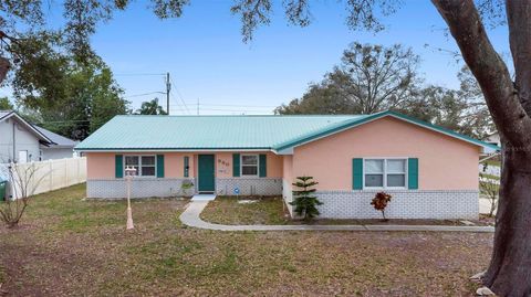 A home in DELTONA