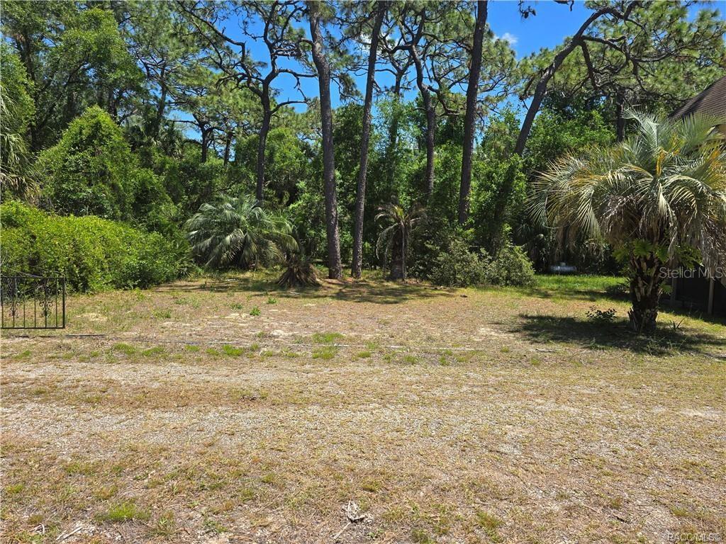 HALLS RIVER ESTATES - Residential