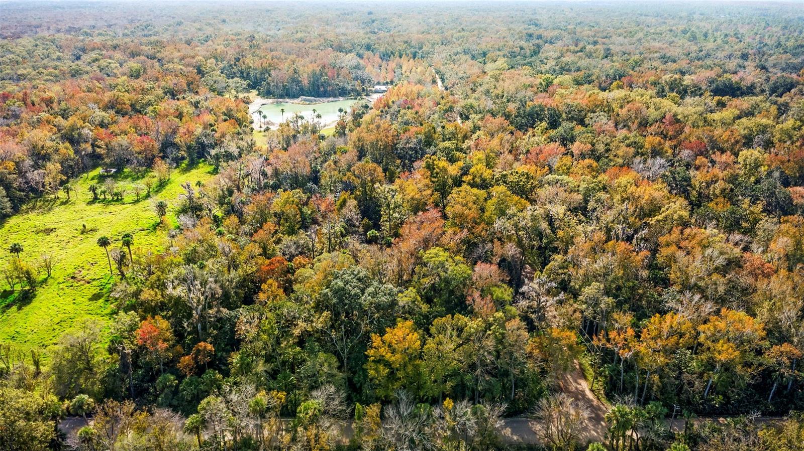 ASSESSORS SIBBALD GRANT - Land