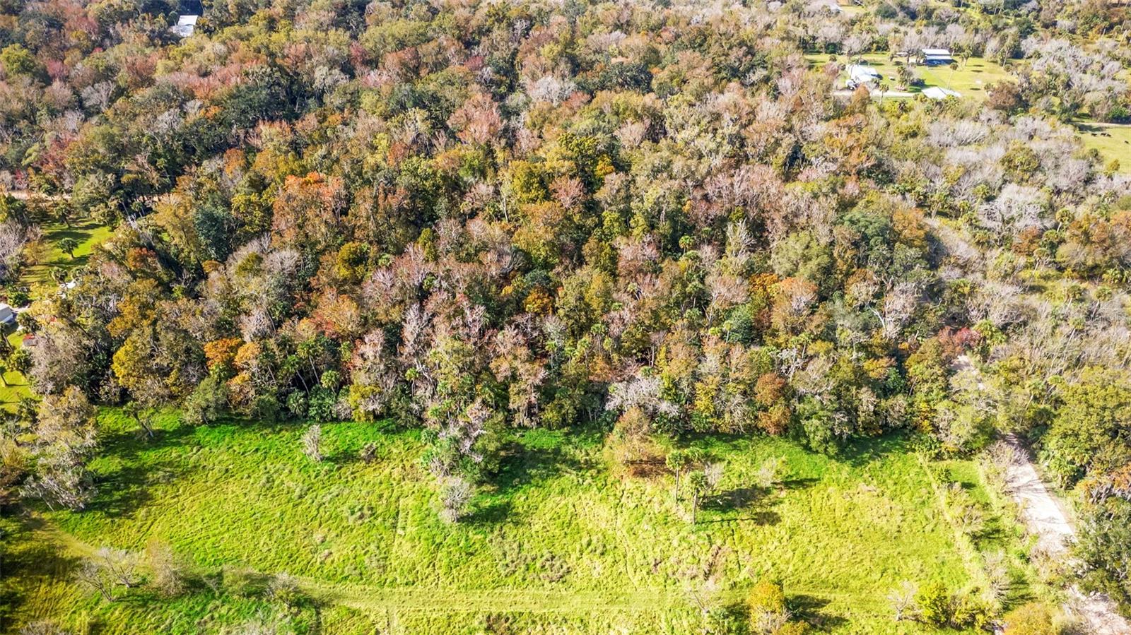 ASSESSORS SIBBALD GRANT - Land