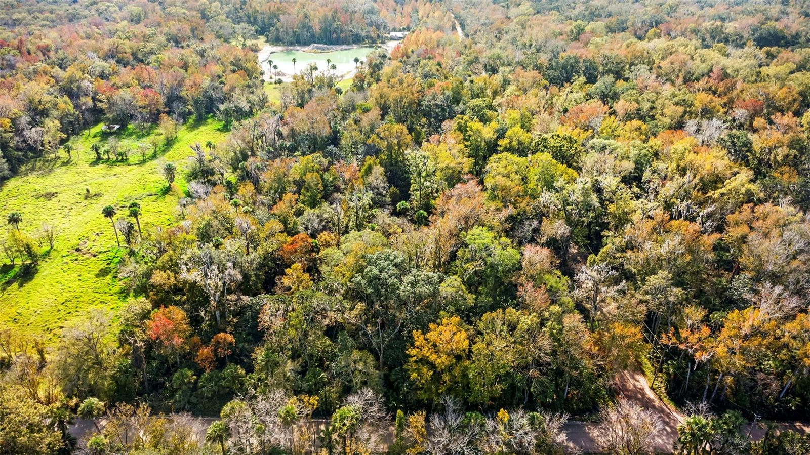 ASSESSORS SIBBALD GRANT - Land