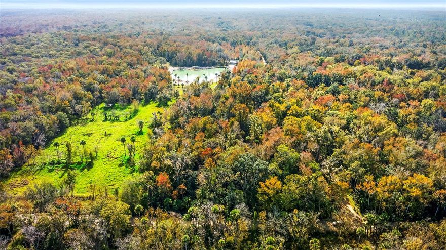 Land loan available with 25% down, call us to learn more. 


Your private slice of Old Florida—5 acres of peaceful, untouched land in Edgewater.

Tucked away in a quiet, wooded setting, this 5-acre parcel offers the perfect canvas for your dream home, weekend retreat, or recreational getaway. With towering trees, natural privacy, and plenty of room to spread out, you’ll enjoy the kind of tranquility that’s getting harder to find in Florida.

Located within a 15-25 minute drive from shopping, dining, boat ramps, and the Indian River, you’re close to everything—but feel miles away from it all. No HOA, no restrictions—just the freedom to create the lifestyle you want.

Whether you’re looking to build now or hold for the future, this is a land opportunity you don’t want to miss.