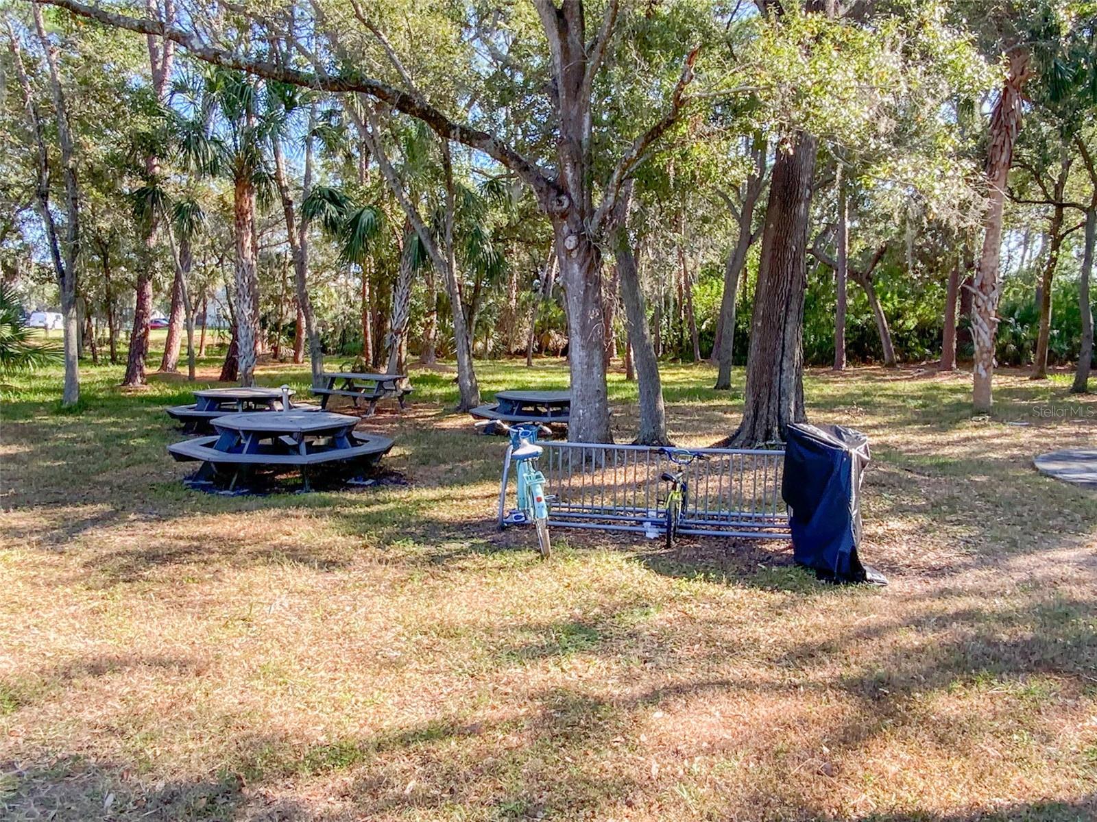 WINDJAMMER CONDO - Residential Lease