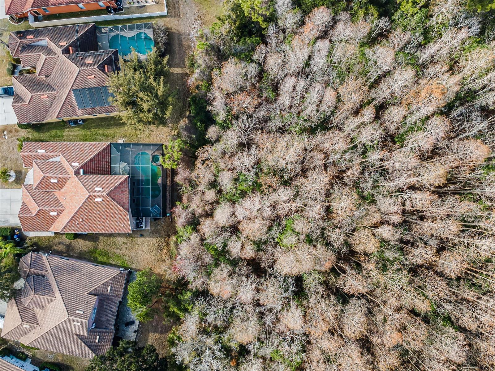 WATERS EDGE 02 - Residential