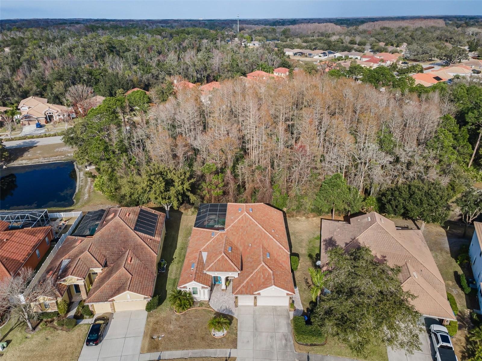 WATERS EDGE 02 - Residential