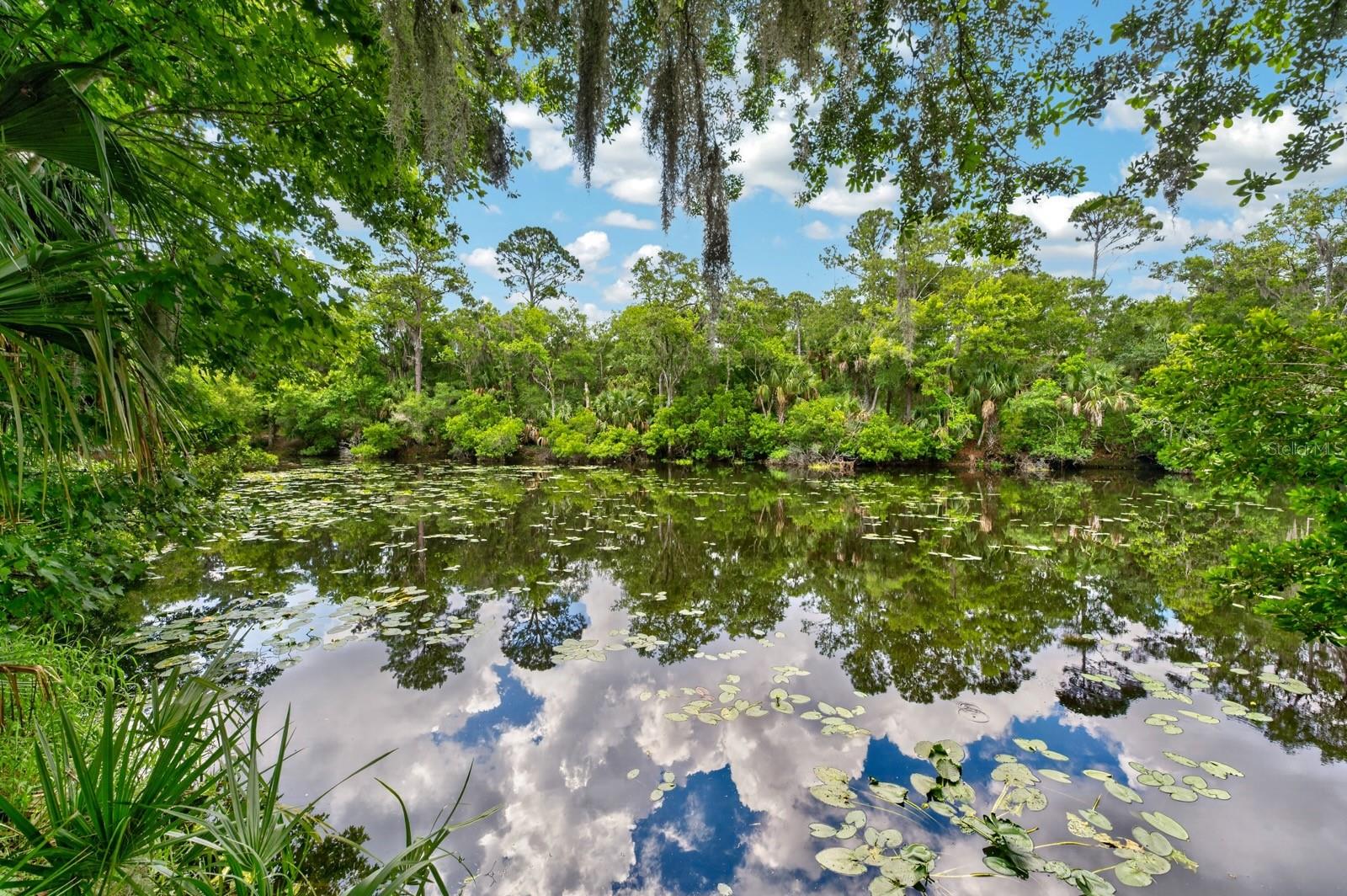 HIDDEN LAKES - Residential