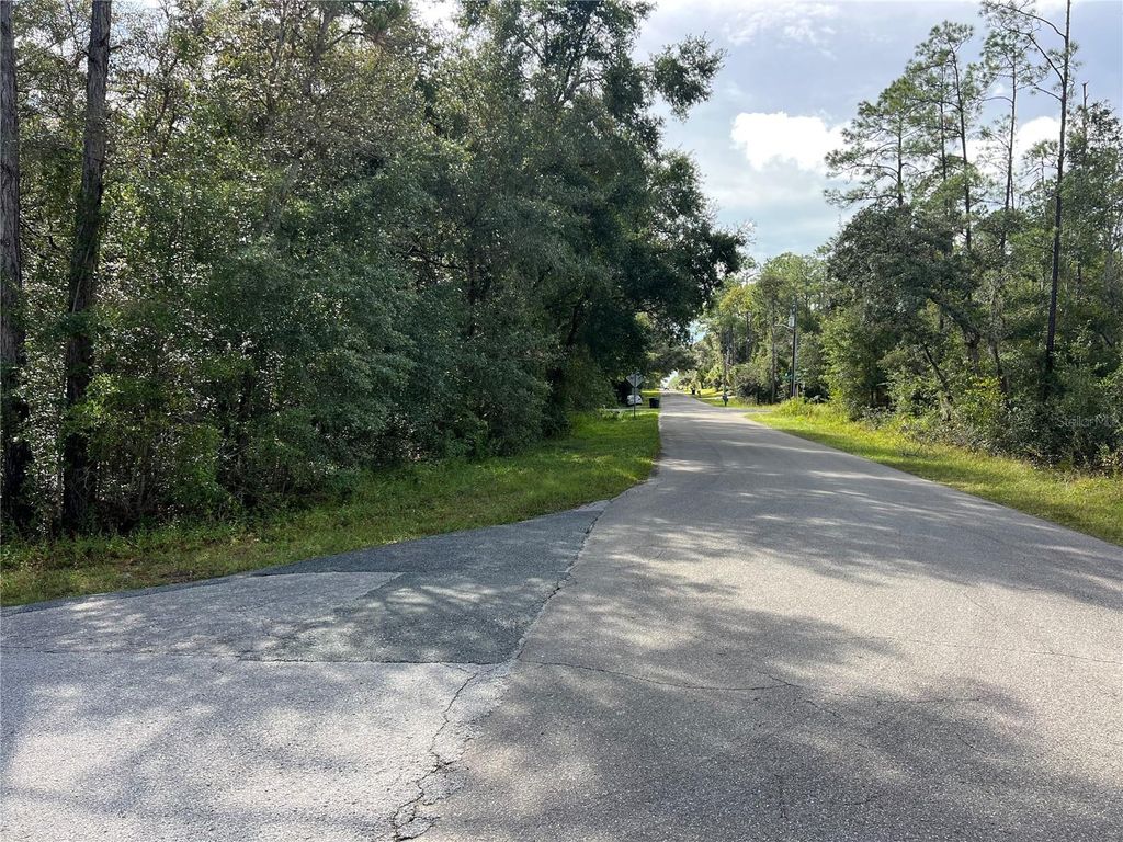 Photo of 112 N Bauer Road, Lecanto, FL 34461 (MLS # TB8434918)