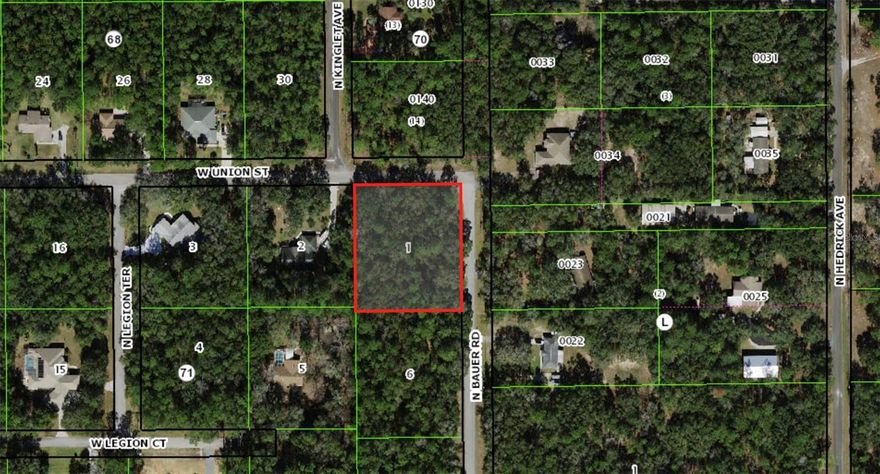 Situated in the heart of Citrus Hills, this acre lot measures 235 by 197 feet. Located in a flood zone X, with no wetlands and primed for development. It's the perfect canvas for your dream Florida home, providing a peaceful and picturesque environment. Opportunities like this are rare, so act quickly to make this lot yours before it's gone!