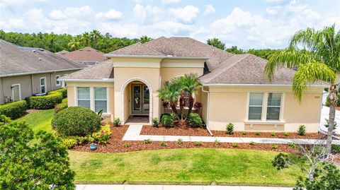 3227 WATERMARK DRIVE WESLEY CHAPEL FL 33544