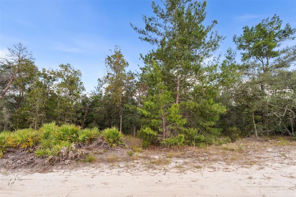 Photo of 0 NE 75 Street, Bronson, FL 32621 (MLS # GC534548)
