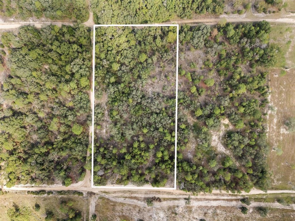 Photo of 0 NE 75 Street, Bronson, FL 32621 (MLS # GC534548)