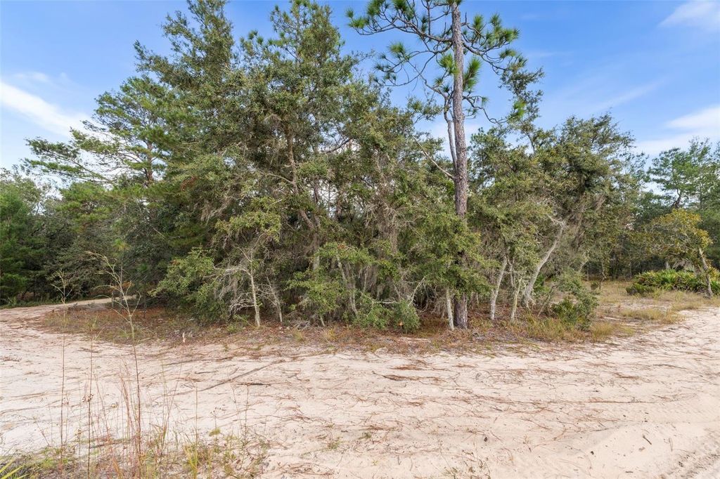 Photo of 0 NE 75 Street, Bronson, FL 32621 (MLS # GC534548)