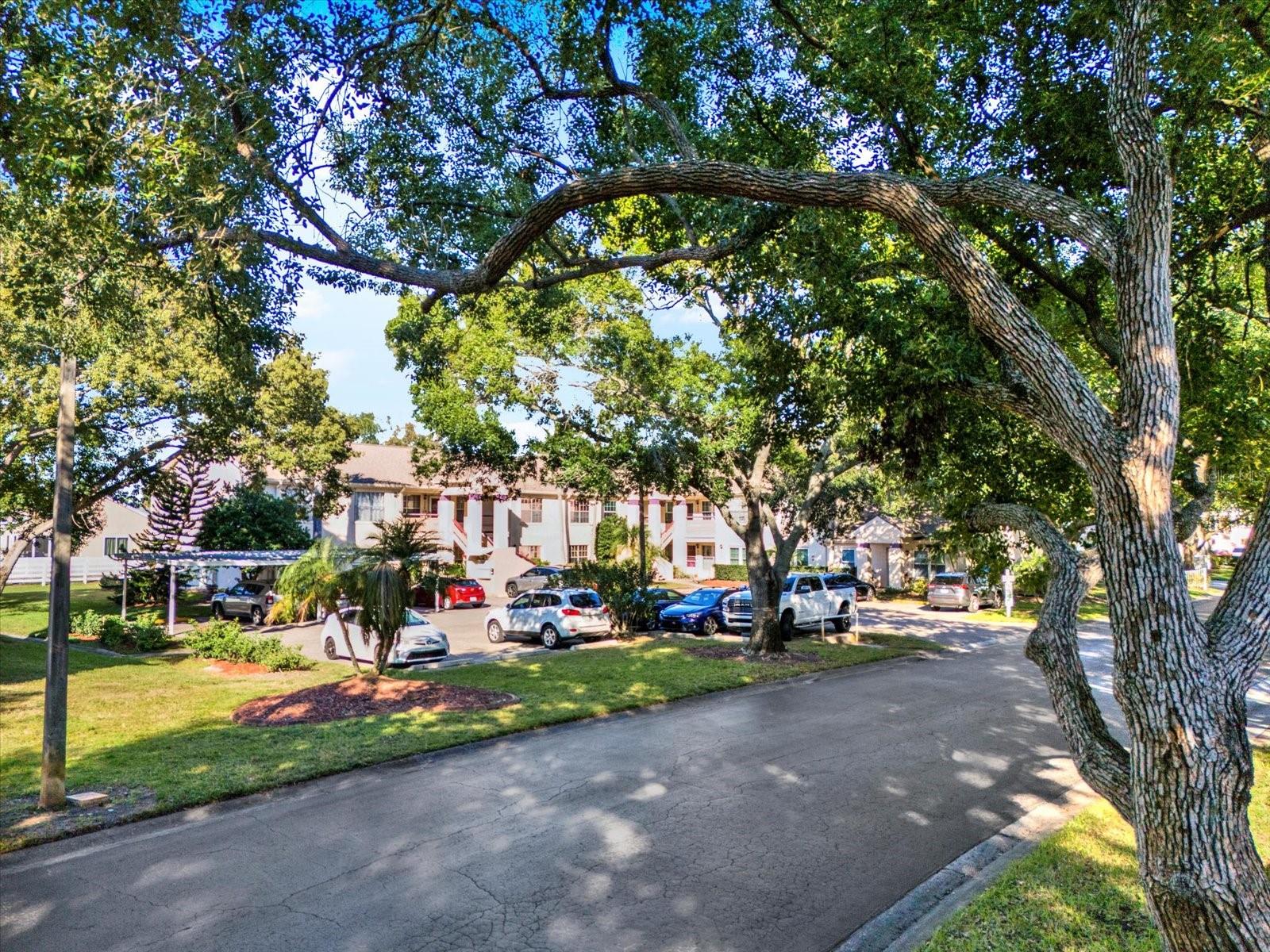 MILLPOND TRACE CONDO - Residential