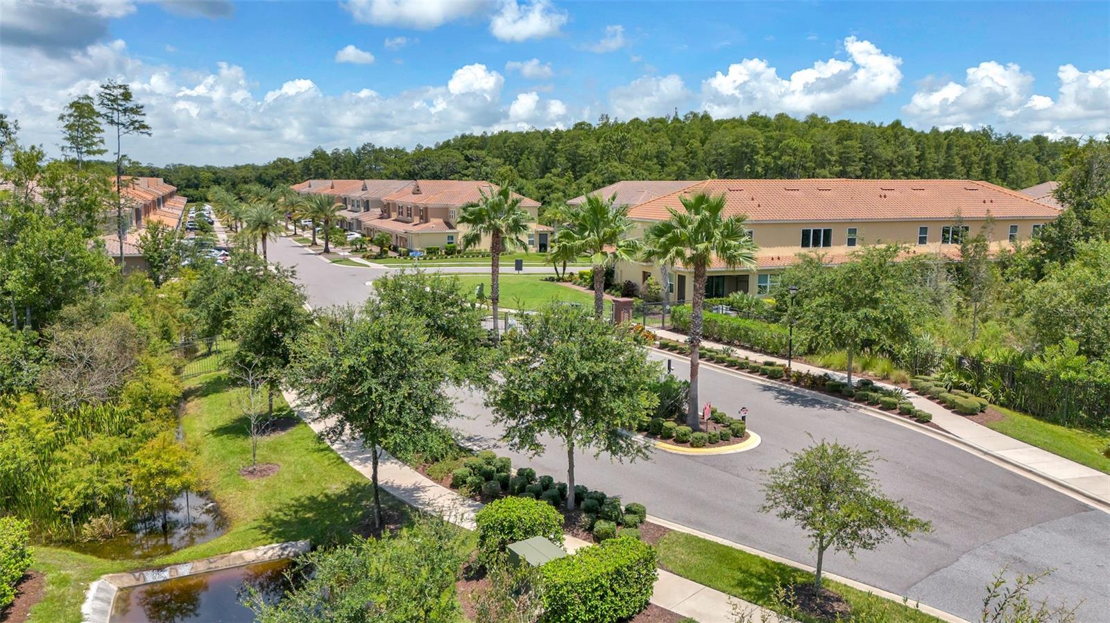 Photo 42 of 46 of 8728 TERRACINA LAKE DRIVE townhome