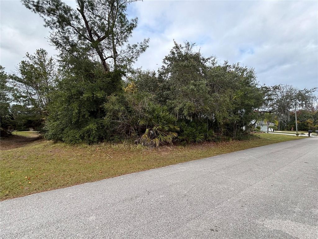 Photo of 134 Frankford Lane, Palm Coast, FL 32137 (MLS # FC314784)