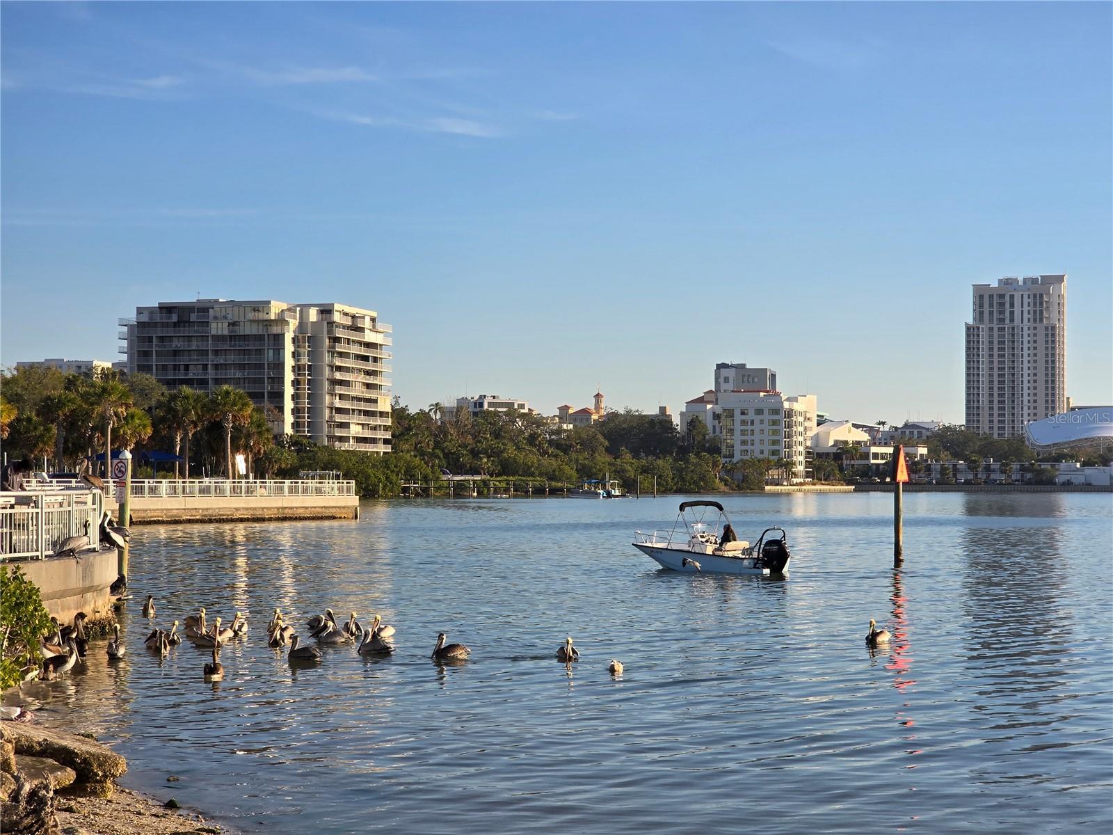 MILTON PARK - Residential