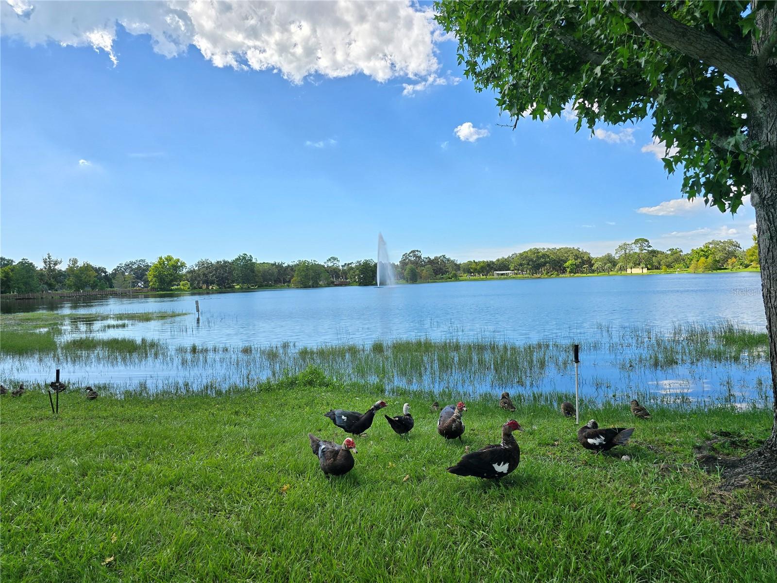 MILTON PARK - Residential