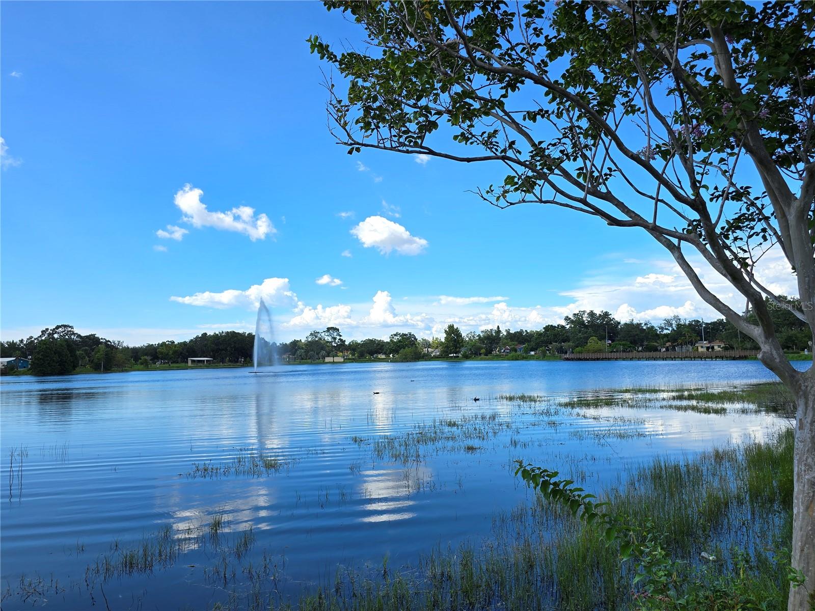 MILTON PARK - Residential