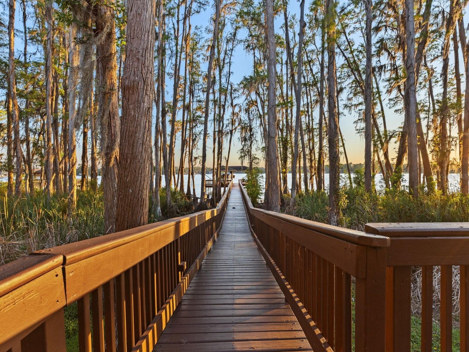 PRESERVE AT LAKE THOMAS - Residential