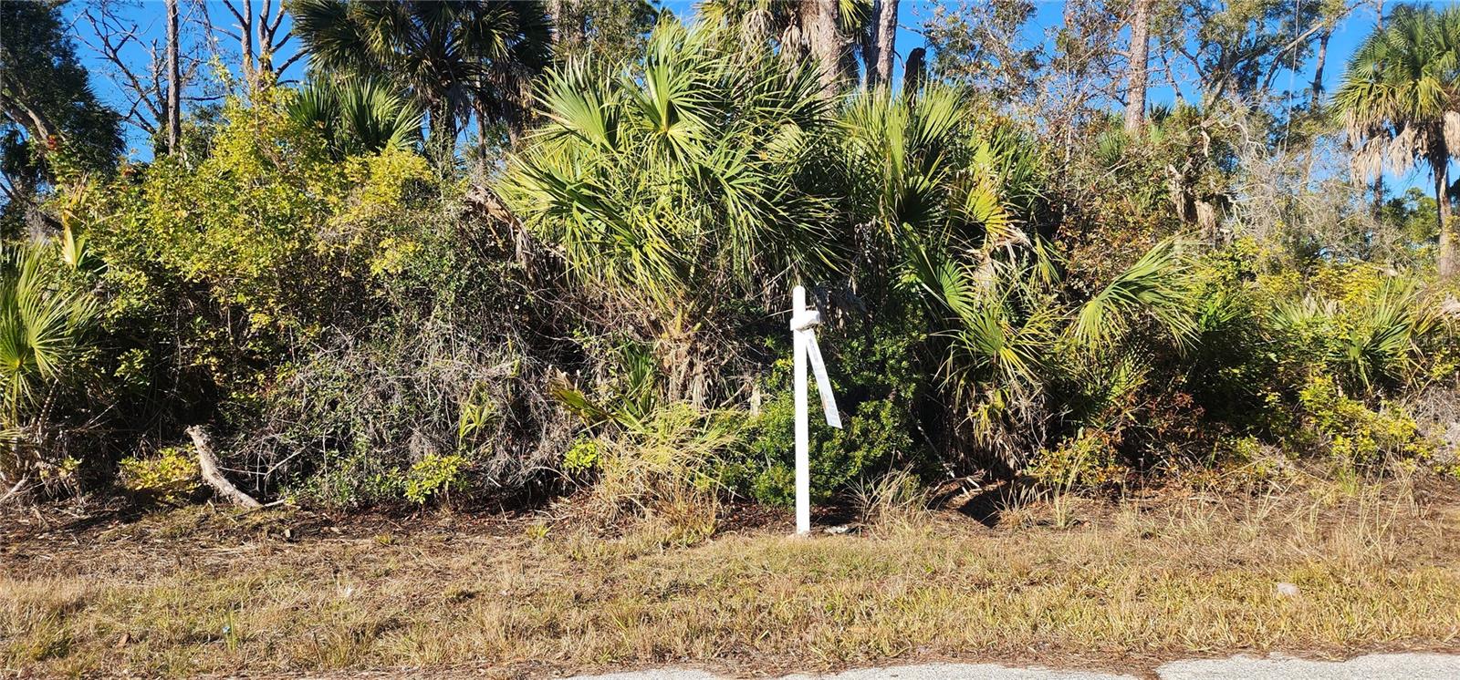 12006 COLEMAN AVENUE