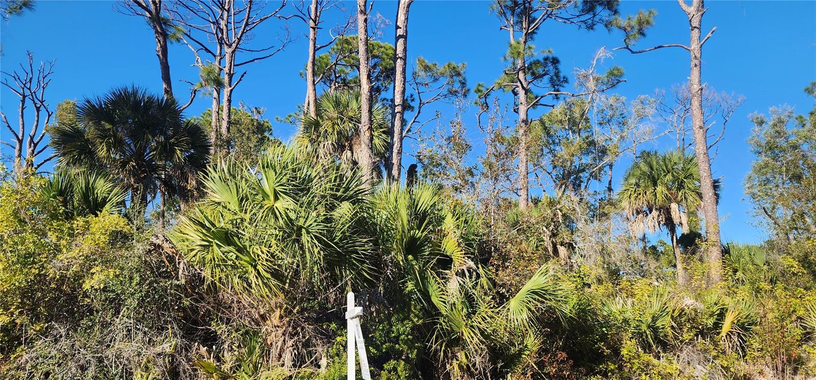 12006 COLEMAN AVENUE