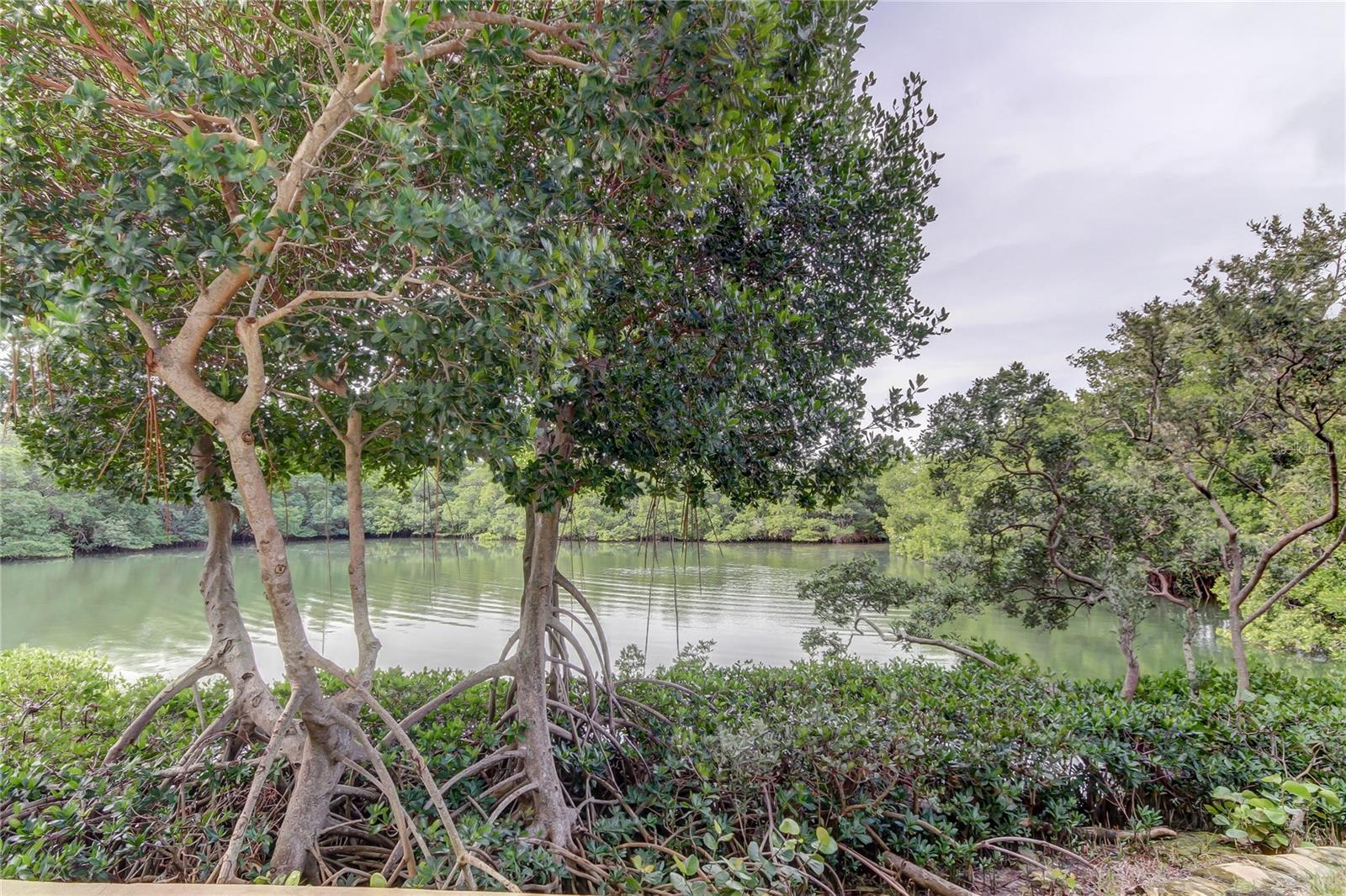 CHATEAU TOWER CONDO - Residential